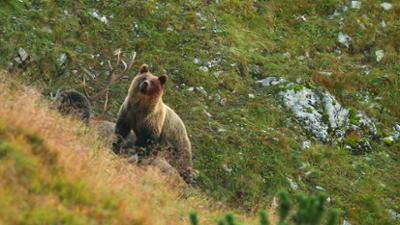Terra Mater: Die Hohe Tatra 