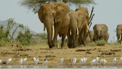 Terra Mater: Eine Perle im Sand (1/2)