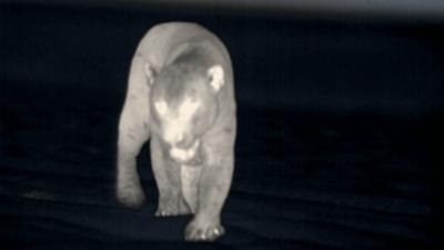 Terra Mater: In den Bergen Patagoniens