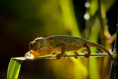 Terra Mater: Eine Perle im Sand (2/2)