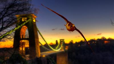 Terra Mater: Evolution aus Menschenhand