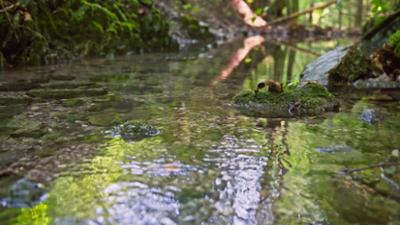 TM Wissen: Unser Trinkwasser