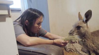 Australiens Tierrettung - Einsatz am Bondi Beach: Staffel 11 Folge 11 Der Ball im Bauch