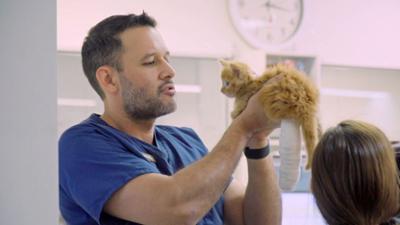 Australiens Tierrettung - Einsatz am Bondi Beach: Staffel 11 Folge 2 Eine neue Pfote