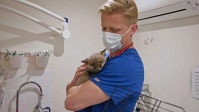 Australiens Tierrettung - Einsatz am Bondi Beach: Staffel 11 Folge 14 Kirschaugen und juckende Ohren
