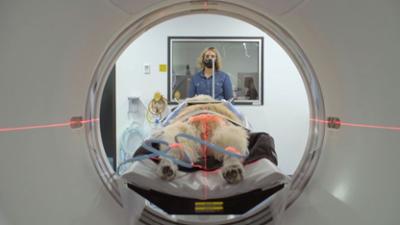 Australiens Tierrettung - Einsatz am Bondi Beach: Staffel 11 Folge 10 Benny's Geburtstagsparty