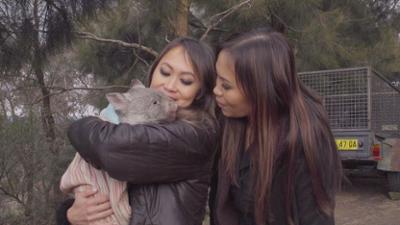 Australiens Tierrettung - Einsatz am Bondi Beach: Staffel 12 Folge 10 Dicker Hund, dünner Hund
