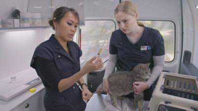 Australiens Tierrettung - Einsatz am Bondi Beach: Staffel 12 Folge 1 Nase zu und durch