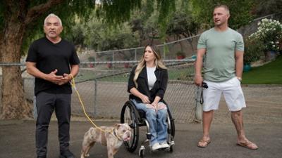Cesar Millan: Better Human Better Dog - Bessere Menschen, bessere Hunde: Staffel 4 Folge 7 An der kurzen Leine