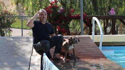 Cesar Millan: Better Human Better Dog - Bessere Menschen, bessere Hunde: Staffel 3 Folge 2 Drei Hunde für Cesar - Teil 2