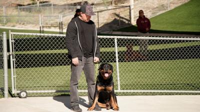 Cesar Millan: Better Human Better Dog - Bessere Menschen, bessere Hunde: Staffel 5 Folge 5 Hilfe für das Biest