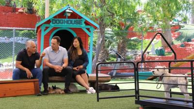 Cesar Millan: Better Human Better Dog - Bessere Menschen, bessere Hunde: Staffel 4 Folge 4 Kontrolle des Rudels
