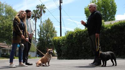 Cesar Millan: Better Human Better Dog - Bessere Menschen, bessere Hunde: In Guten wie in Schlechten Zeiten