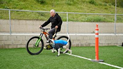 Cesar Millan: Better Human Better Dog - Bessere Menschen, bessere Hunde: Staffel 5 Folge 7 Ein ungewöhnlicher Fall