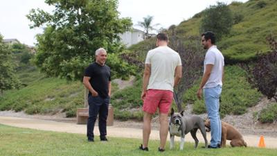 Cesar Millan: Better Human Better Dog - Bessere Menschen, bessere Hunde: Staffel 4 Folge 2 Festung der Angst, Teil 1