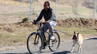 Cesar Millan: Better Human Better Dog - Bessere Menschen, bessere Hunde: Staffel 3 Folge 8 Kampfgeist