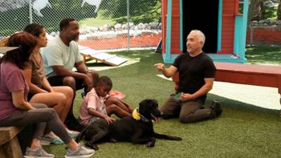 Cesar Millan: Better Human Better Dog - Bessere Menschen, bessere Hunde: Staffel 4 Folge 6 Ein Retter für die Familie
