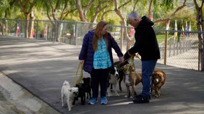 Cesar Millan: Better Human Better Dog - Bessere Menschen, bessere Hunde: Staffel 5 Folge 12 Gorilla-Energie