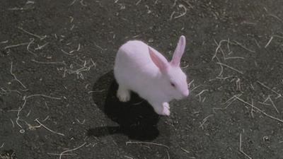 Charmed - Zauberhafte Hexen: Staffel 8 Folge 2 Halliwells im Wunderland
