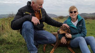 Der Super Doc - Einsatz für 4 Pfoten: Staffel 7 Folge 1 Kylo und Sasha