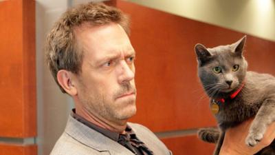 Dr. House: Staffel 5 Folge 18 Wenn die Katze kommt ...