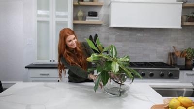 No Demo Reno - Umbau ohne Abriss: Staffel 2 Folge 1 Alte Liebe, neues Glück