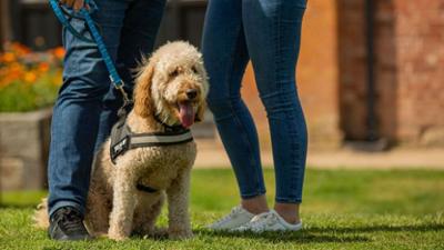Unsere Hundeschule: Staffel 1 Folge 1 Episode 1