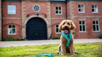 Unsere Hundeschule: Staffel 1 Folge 3 Episode 3
