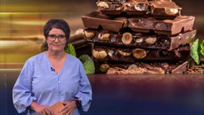 aktueller bericht