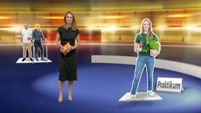 aktueller bericht aktueller bericht
