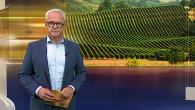 aktueller bericht
