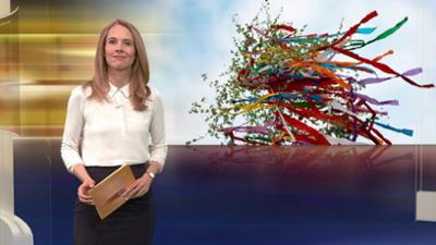 aktueller bericht