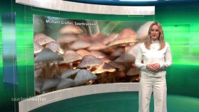 das saarlandwetter das saarlandwetter