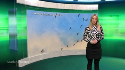 das saarlandwetter