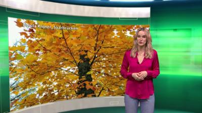 das saarlandwetter das saarlandwetter