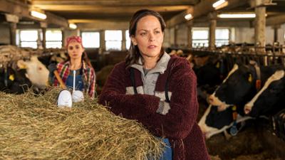 Die Fallers: Folge 1298: Trügerisch