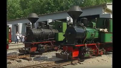 Eisenbahn-Romantik: Feldbahnschätze im alten Steinbruch