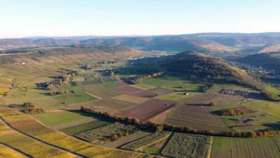 Fahr mal hin: Eine Reise durch die Moselberge - von Mauereidechsen, Ziegen und einem Mühlenmuseum