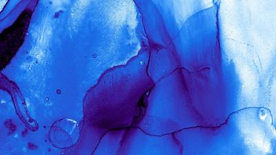 Faszination Blau: Königin der Farben
