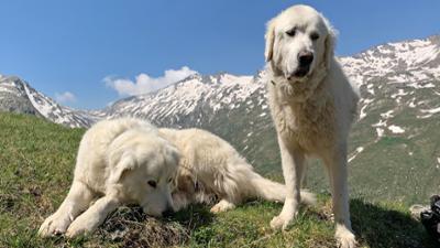 Graubünden - Wo die Schweiz den Himmel berührt