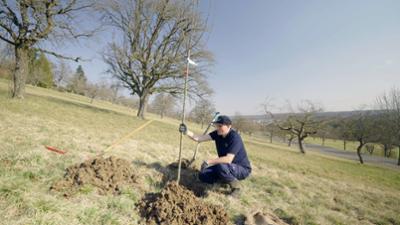 Handwerkskunst: Wie man eine Streuobstwiese pflegt