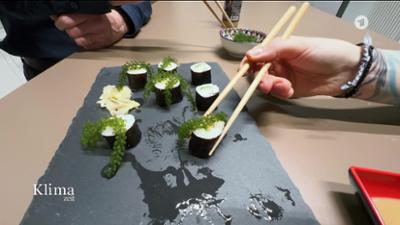 Klimazeit: Algen - Nahrungsmittel mit kleinem CO2-Verbrauch KlimaZeit 19:45 Uhr,