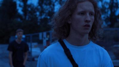 Melodies of Barking Dogs