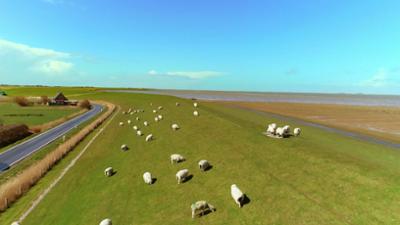 Pellworm, da will ich hin!