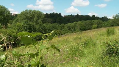 Saar Natur: Felder, Wiesen, Äcker
