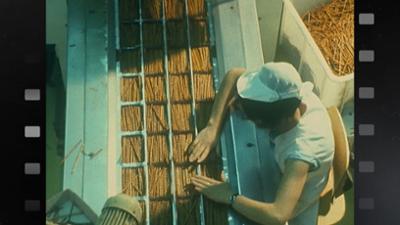 Sellemols: Stixi, Spaghetti und Schaumküsse – Hergestellt im Saarland