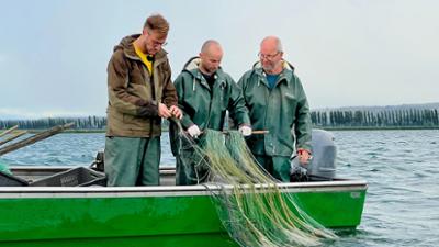 So isst Anders: Fisch und mehr am Bodensee