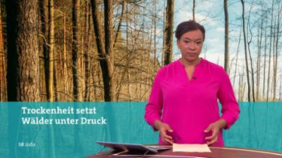 SR info: 16.00 Uhr