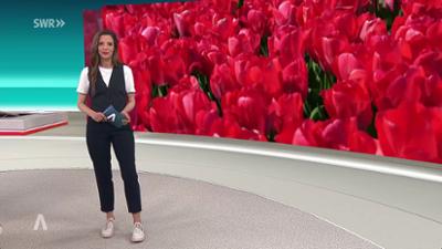 SWR Aktuell: Sendung 19:30 Uhr vom 2.4.2026