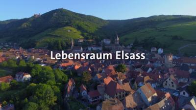 Tiere und Pflanzen: Lebensraum Elsass · Tiere und Pflanzen